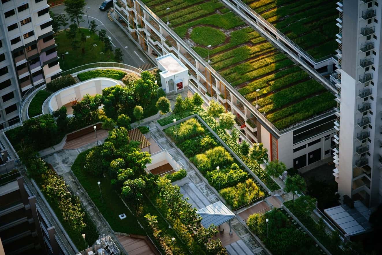 jardin sur toiture